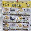 굿댕스쿨 | 부천 애견유치원 굿댕스쿨 필수