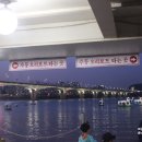 한강오리 이미지