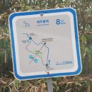 제주 올레길 8코스 이미지