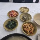 삼복삼계탕추어탕