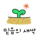 Y J 헤어