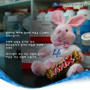 케이디알 이미지