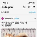 마스타카 이미지