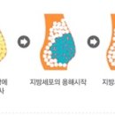 연세로즈엘의원