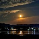 달밤 이미지