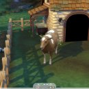 삼닭농장 이미지