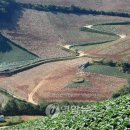 고도민박 이미지