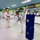 용호태권도 이미지