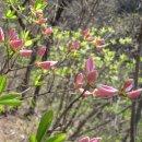 두타산성 이미지