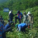 효자마을 이미지