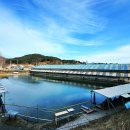 경춘낚시터 이미지