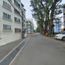 흙담솔로 이미지