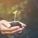 나무로협동조합 이미지