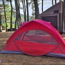 칠포해수욕장 이미지