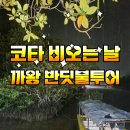 비갬 | 코타키나발루 비오는날 까왕 반딧불투어 비와도 강행한 후기