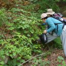 서북동마을 이미지