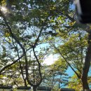 (주)블루빈 이미지