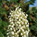 유카써비스 이미지