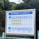 백초초등학교 | 여수 뚜벅이 여행 돌산 향일암 버스 입장료 주차장 시간 카페 총정리