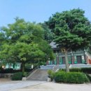 싱그러운청도로(여름) 이미지