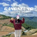 횡계밧데리 | 강릉 안반데기 차박 후기 | 무료 위치 화장실 준비물 추천