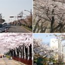 사리울삼거리 이미지