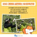 최광수농장 네이버블로그