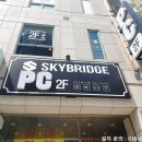스카이 브릿지 PC 이미지
