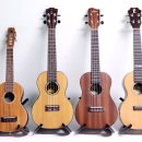 우쿠렐레 이미지