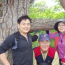 매봉산1 이미지