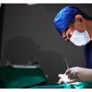 내이플란트치과의원 이미지