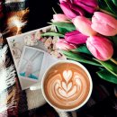 설화농장 이미지