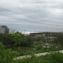 공현진초등학교 이미지