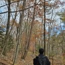 미화스테이 이미지