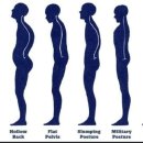 체형교정필라테스 이미지