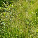 하늘지기 이미지