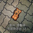 더 행복식당(도시락) 이미지