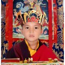 티벳 린포체 밍마스님 초청 대법회...... 이미지