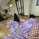 형석민박 이미지