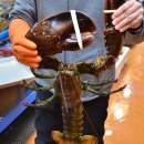 담양상회 이미지