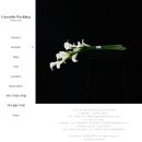 주정차 단속 - 143 이미지