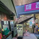 마리부분정비 | 청도 아이와 강아지 물놀이장 솔직 후기｜플레이 청도 장점·단점·실제 이용금액 총정리