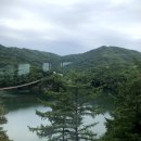 레드브릿지 이미지