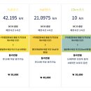 어텐션 트레이닝 센터 | 제주국제관광마라톤 D-3.. 두구두구두구..