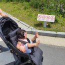 신둔약국 이미지