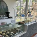 횡성군둔내면화동보건진료소 | 내돈내산 🏞 횡성 감성카페 추천 — 언덕 위 힐링 공간, 산일리오 애견동반가능