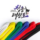 용인대 청용 태권도장 이미지