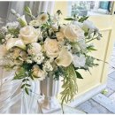 준플라워 이미지