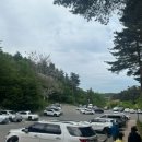 솔향수목원(제3주차장) 이미지