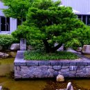 여주-0908 Daum카페
